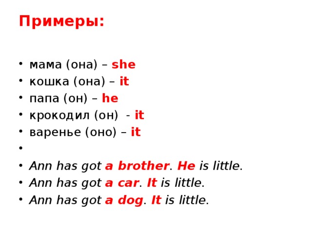 Примеры:   мама (она) – she кошка (она) – it папа (он) – he крокодил (он) - it варенье (оно) – it   Ann has got a brother . He  is little. Ann has got a car . It  is little. Ann has got a dog . It is little. 