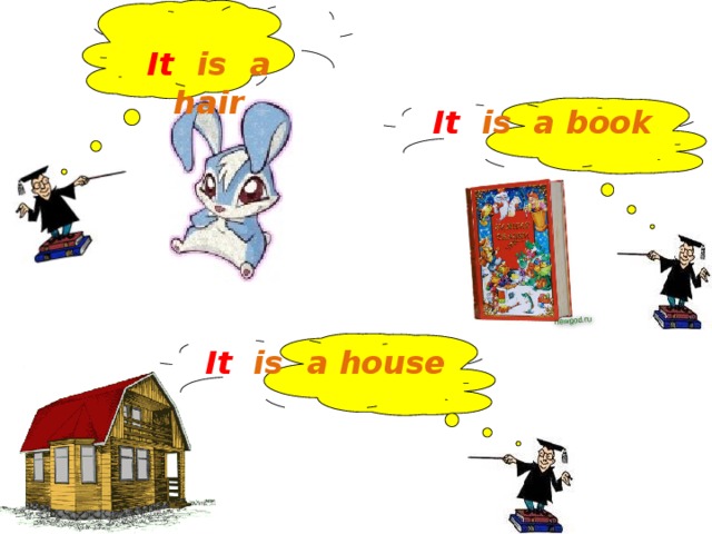 It   is a hair It is a book It is  a house 