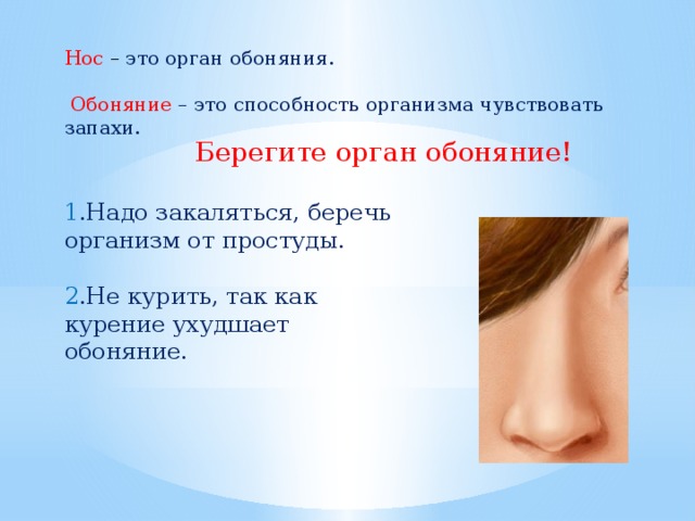 Нос – это орган обоняния.  Обоняние  – это способность организма чувствовать запахи. Берегите орган обоняние! 1 .Надо закаляться, беречь организм от простуды.   2 .Не курить, так как курение ухудшает обоняние.