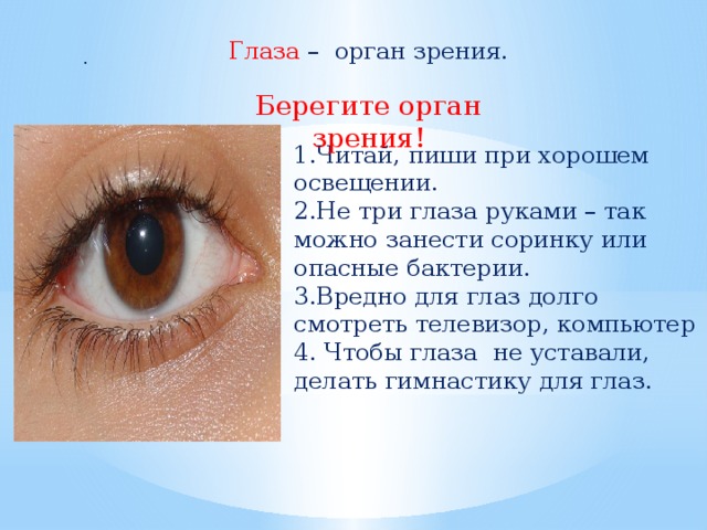 Глаза – орган зрения. Берегите орган зрения!   . 1.Читай, пиши при хорошем освещении. 2.Не три глаза руками – так можно занести соринку или опасные бактерии. 3.Вредно для глаз долго смотреть телевизор, компьютер 4. Чтобы глаза не уставали, делать гимнастику для глаз.