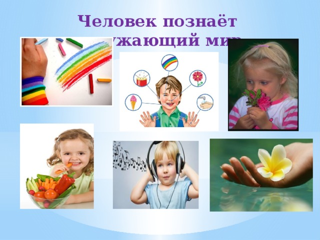 Человек познаёт окружающий мир