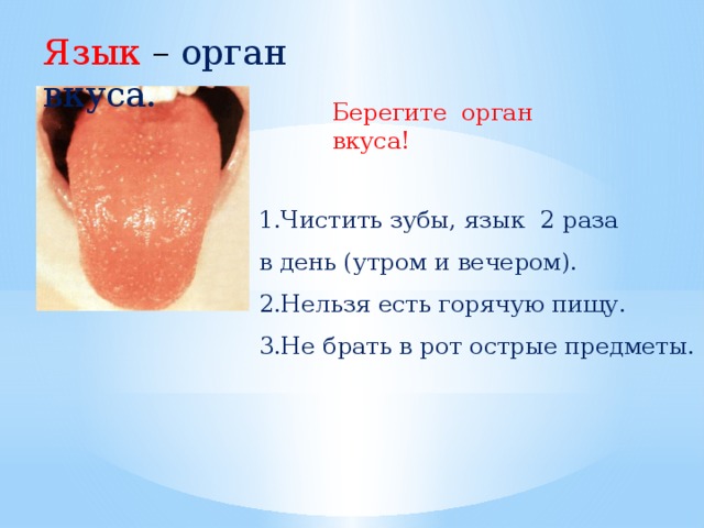 Язык – орган вкуса. Берегите орган вкуса! 1.Чистить зубы, язык 2 раза в день (утром и вечером). 2.Нельзя есть горячую пищу. 3.Не брать в рот острые предметы.