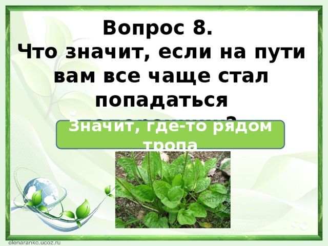 Вопрос 8. Что значит, если на пути вам все чаще стал попадаться подорожник?  Значит, где-то рядом тропа