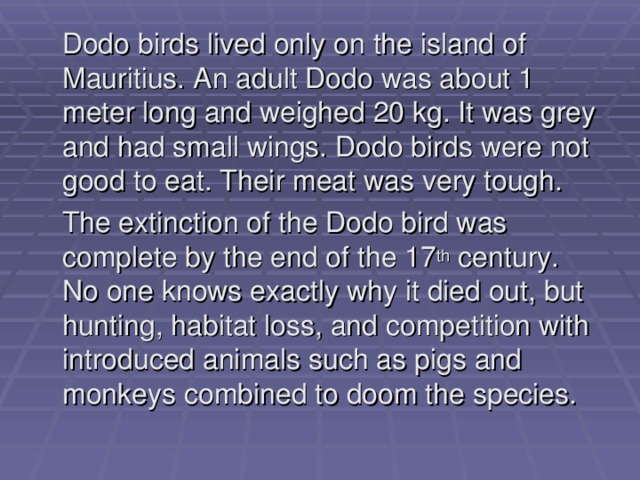  Dodo birds lived only on the island of Mauritius. An adult Dodo was about 1 meter long and weighed 20 kg. It was grey and had small wings. Dodo birds were not good to eat. Their meat was very tough.  The extinction of the Dodo bird was complete by the end of the 17 th century. No one knows exactly why it died out, but hunting, habitat loss, and competition with introduced animals such as pigs and monkeys combined to doom the species. 