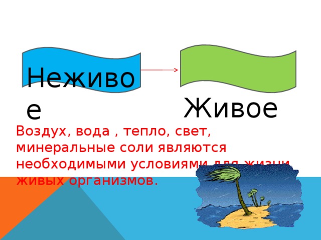 Живое Неживое Воздух, вода , тепло, свет, минеральные соли являются необходимыми условиями для жизни живых организмов. Воздух, вода , тепло, свет, минеральные соли являются необходимыми условиями для жизни живых организмов. 16