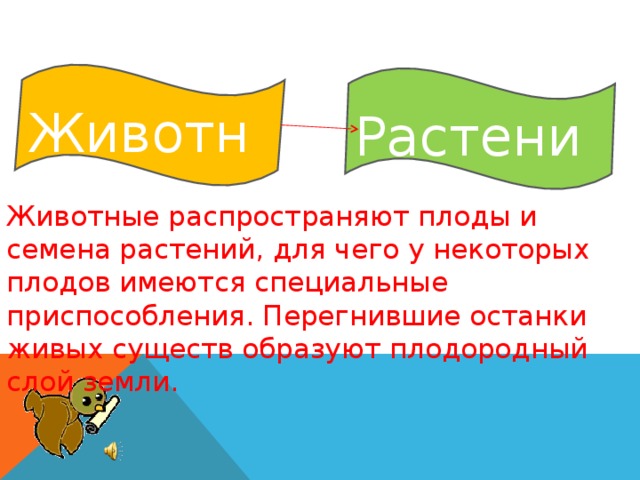 Животные Растения Животные распространяют плоды и семена растений, для чего у некоторых плодов имеются специальные приспособления. Перегнившие останки живых существ образуют плодородный слой земли. Животные распространяют плоды и семена растений, для чего у некоторых плодов имеются специальные приспособления. 17