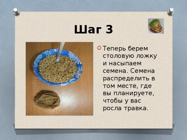 Шаг 3 Теперь берем столовую ложку и насыпаем семена. Семена распределить в том месте, где вы планируете, чтобы у вас росла травка. 
