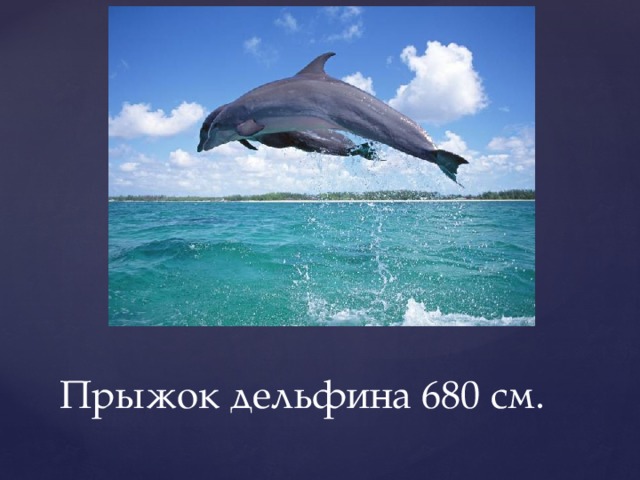 Прыжок дельфина 680 см. 