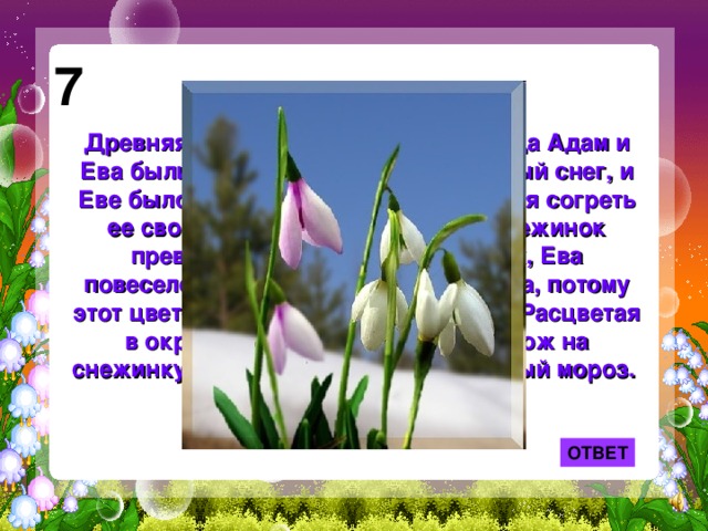 7 Древняя легенда рассказывает: когда Адам и Ева были изгнаны из рая, шел сильный снег, и Еве было очень холодно. Тогда, желая согреть ее своим вниманием, несколько снежинок превратилось в цветы. Увидев их, Ева повеселела, у нее появилась надежда, потому этот цветок стал символом надежды. Расцветая в окружении снегов, он и сам похож на снежинку и выдерживает 10- градусный мороз. ОТВЕТ