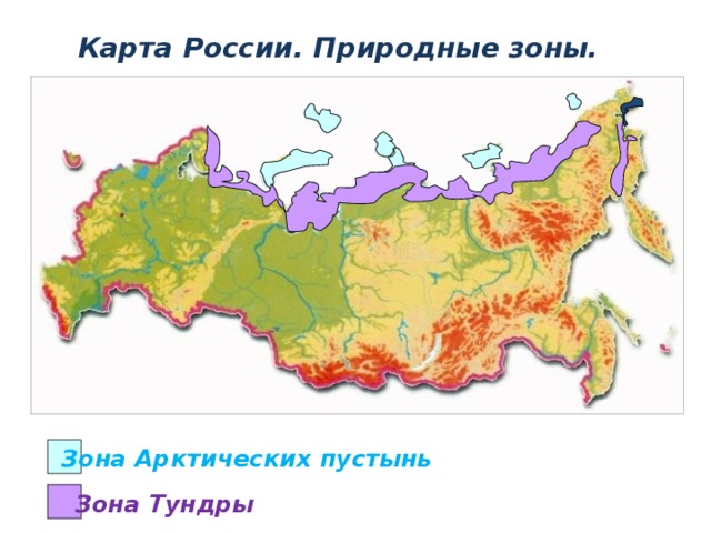 Карта России. Природные зоны. Зона Арктических пустынь Зона Тундры