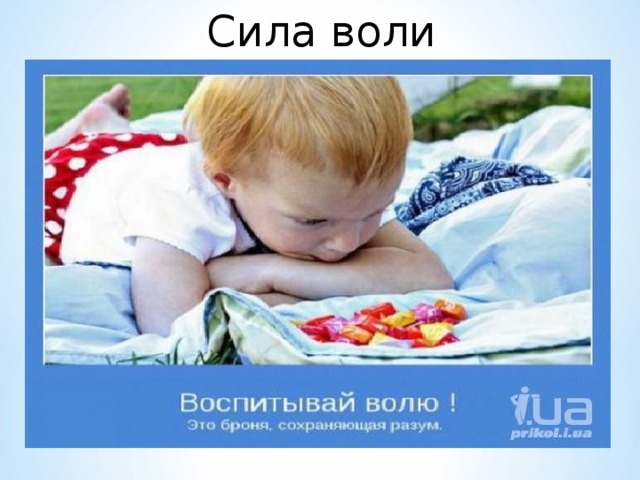 Сила воли 