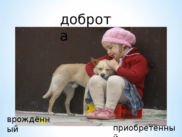 доброта врождённый приобретённый 
