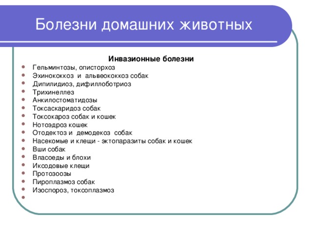 Болезни домашних животных Инвазионные болезни  Гельминтозы, описторхоз Эхинококкоз и альвеококкоз собак Дипилидиоз, дифиллоботриоз Трихинеллез Анкилостоматидозы Токсаскаридоз собак Токсокароз собак и кошек Нотоэдроз кошек Отодектоз и демодекоз собак Насекомые и клещи - эктопаразиты собак и кошек Вши собак Власоеды и блохи Иксодовые клещи Протозоозы Пироплазмоз собак Изоспороз, токсоплазмоз 