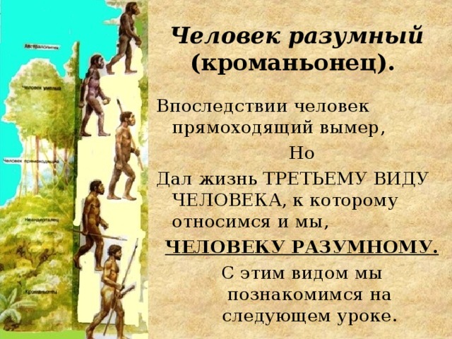Человек разумный  (кроманьонец). Впоследствии человек прямоходящий вымер, Но Дал жизнь ТРЕТЬЕМУ ВИДУ ЧЕЛОВЕКА, к которому относимся и мы, ЧЕЛОВЕКУ РАЗУМНОМУ. С этим видом мы познакомимся на следующем уроке. 
