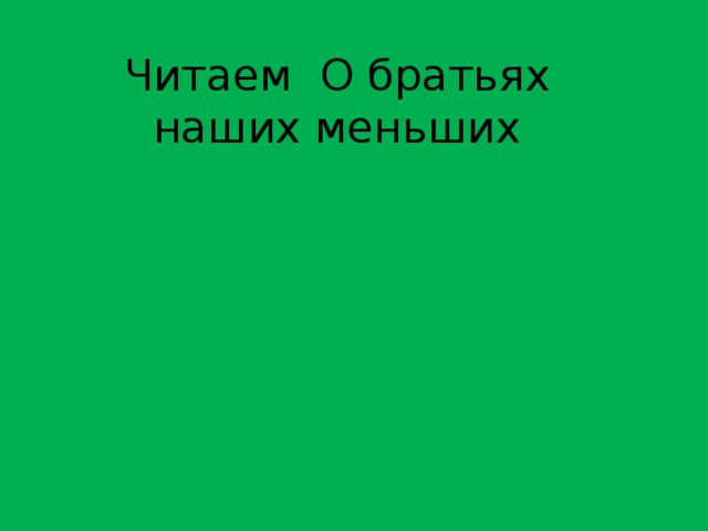 Читаем О братьях наших меньших 