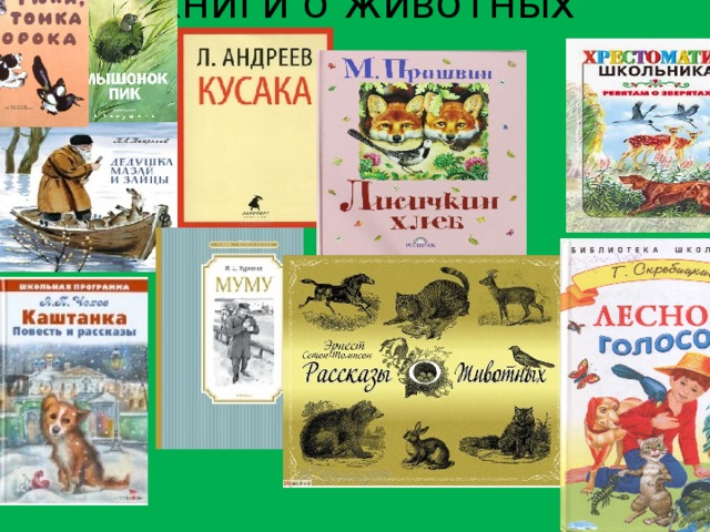 Книги о животных 