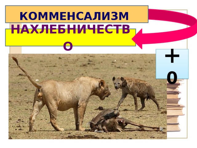 КОММЕНСАЛИЗМ  НАХЛЕБНИЧЕСТВО  + 0 