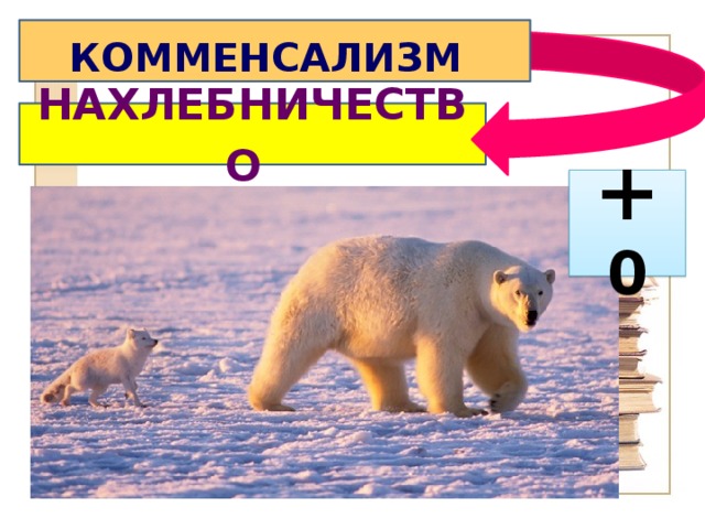 КОММЕНСАЛИЗМ  НАХЛЕБНИЧЕСТВО  + 0 