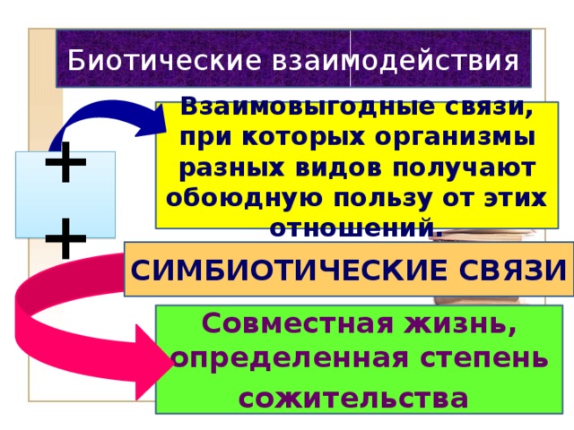 Биотические взаимодействия Взаимовыгодные связи, при которых организмы разных видов получают обоюдную пользу от этих отношений. ++ СИМБИОТИЧЕСКИЕ СВЯЗИ  Совместная жизнь, определенная степень сожительства  