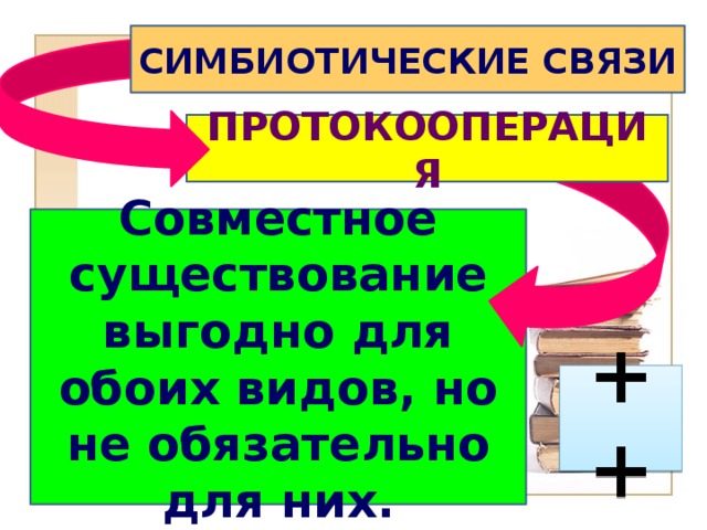 СИМБИОТИЧЕСКИЕ СВЯЗИ  ПРОТОКООПЕРАЦИЯ Совместное существование выгодно для обоих видов, но не обязательно для них. ++ 