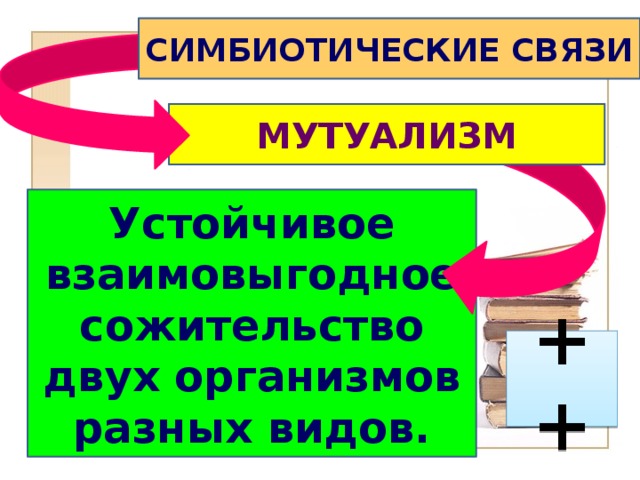 СИМБИОТИЧЕСКИЕ СВЯЗИ  МУТУАЛИЗМ Устойчивое взаимовыгодное сожительство двух организмов разных видов. ++ 