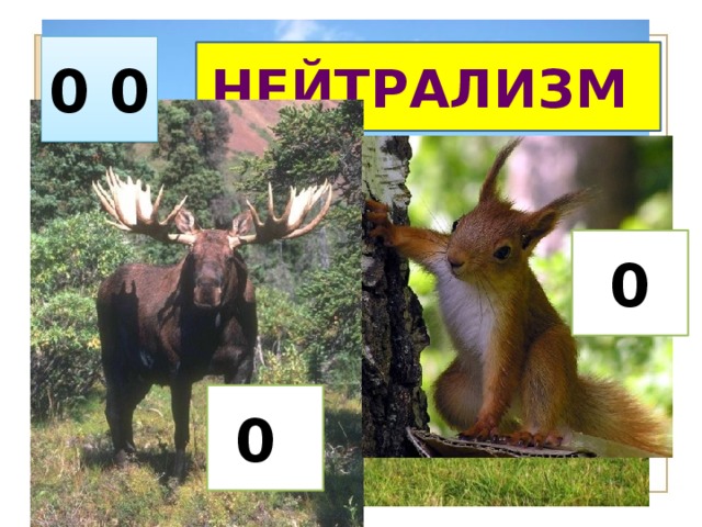 0 0 НЕЙТРАЛИЗМ 0 0 