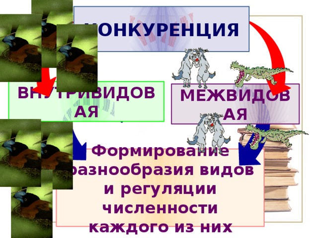 КОНКУРЕНЦИЯ ВНУТРИВИДОВАЯ МЕЖВИДОВАЯ Формирование разнообразия видов и регуляции численности каждого из них 