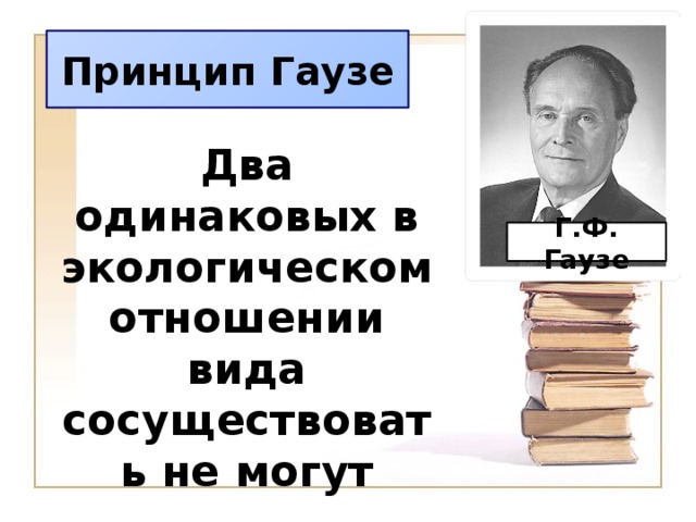 Принцип Гаузе Два одинаковых в экологическом отношении вида сосуществовать не могут Г.Ф. Гаузе 