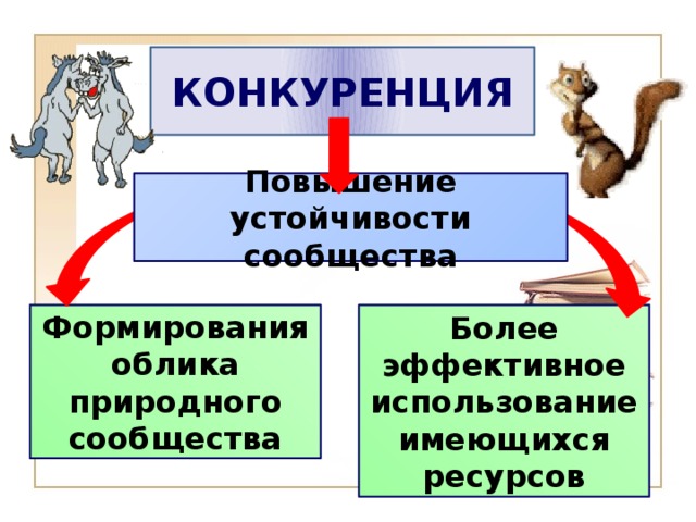 КОНКУРЕНЦИЯ Повышение устойчивости сообщества Формирования облика природного сообщества Более эффективное использование имеющихся ресурсов 