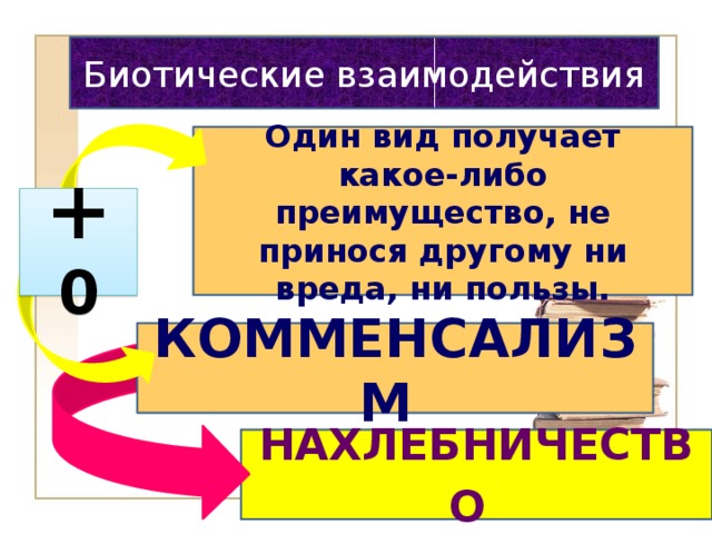 Биотические взаимодействия Один вид получает какое-либо преимущество, не принося другому ни вреда, ни пользы. + 0 КОММЕНСАЛИЗМ  НАХЛЕБНИЧЕСТВО  