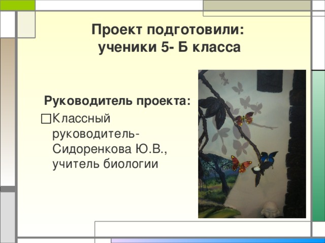 Проект подготовили:  ученики 5- Б класса   Руководитель проекта: Классный руководитель-Сидоренкова Ю.В., учитель биологии 