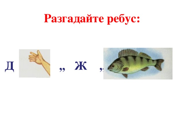 Разгадайте ребус:   Д ,, Ж ,, 