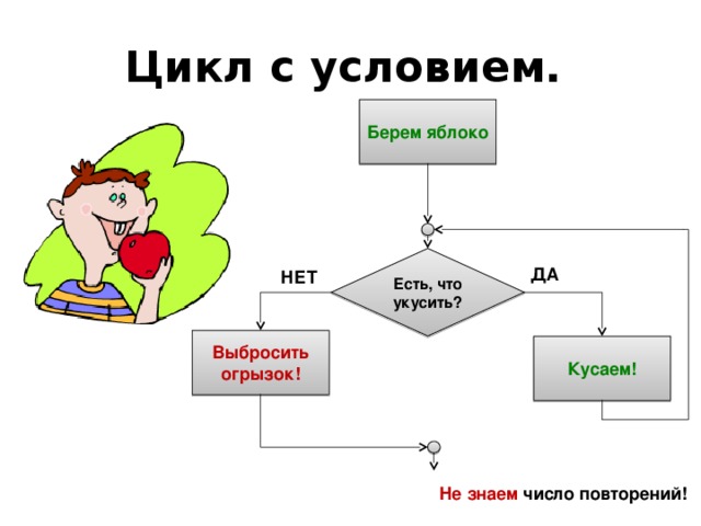 Цикл с условием. Берем яблоко Есть, что укусить? ДА НЕТ Выбросить огрызок! Кусаем! Не знаем число повторений! 