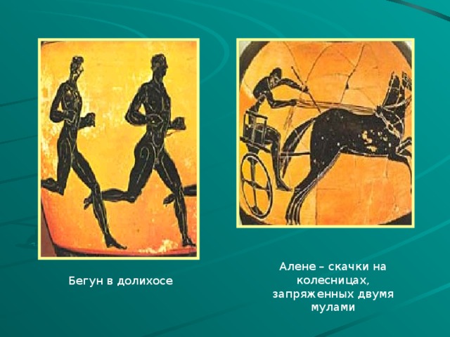 Алене – скачки на колесницах, запряженных двумя мулами Бегун в долихосе 