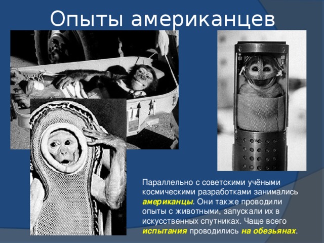 Опыты американцев Параллельно с советскими учёными космическими разработками занимались американцы . Они также проводили опыты с животными, запускали их в искусственных спутниках. Чаще всего испытания проводились на обезьянах . 13 