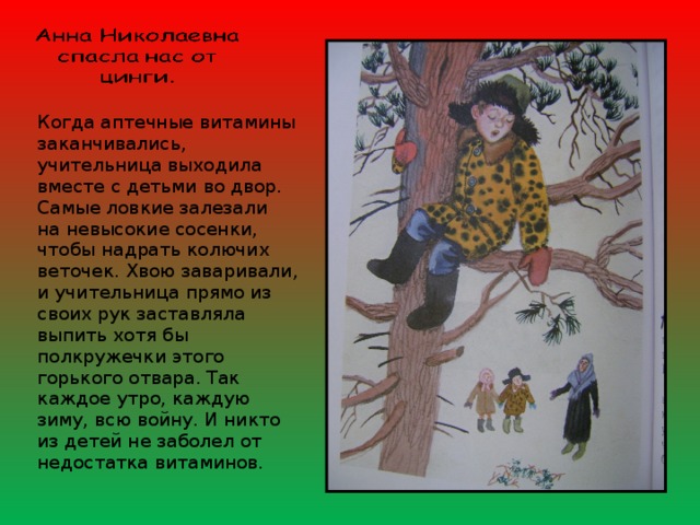 Когда аптечные витамины заканчивались, учительница выходила вместе с детьми во двор. Самые ловкие залезали на невысокие сосенки, чтобы надрать колючих веточек. Хвою заваривали, и учительница прямо из своих рук заставляла выпить хотя бы полкружечки этого горького отвара. Так каждое утро, каждую зиму, всю войну. И никто из детей не заболел от недостатка витаминов. 