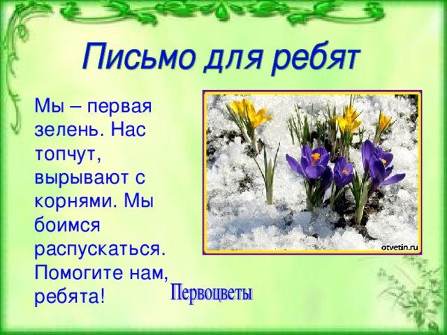 Мы – первая зелень. Нас топчут, вырывают с корнями. Мы боимся распускаться. Помогите нам, ребята! 