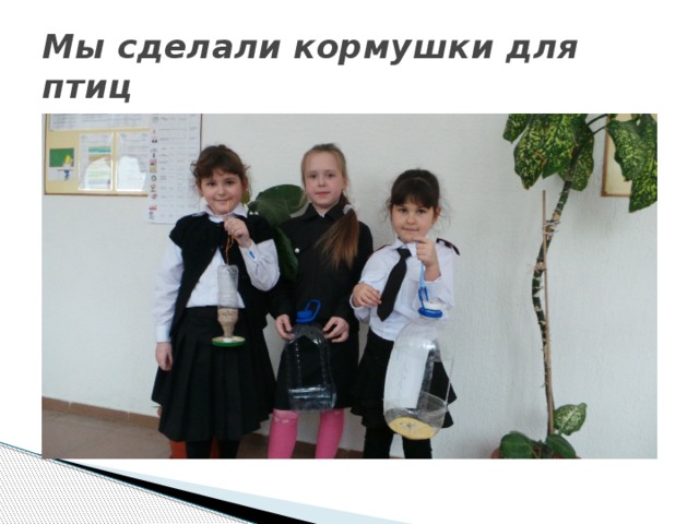 Мы сделали кормушки для птиц 
