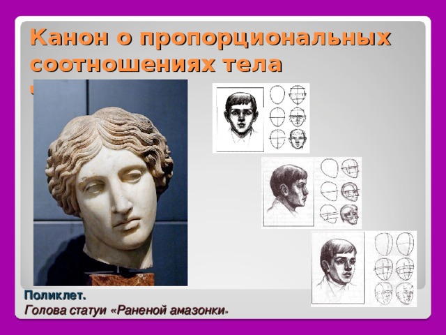 Канон о пропорциональных соотношениях тела человека. Поликлет. Голова статуи «Раненой амазонки » 
