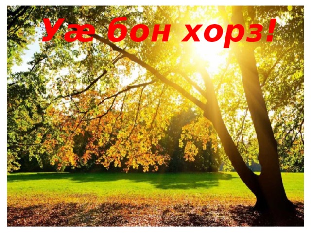 Уæ бон хорз! 