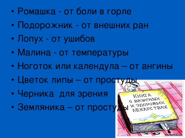 Ромашка - от боли в горле Подорожник - от внешних ран Лопух - от ушибов Малина - от температуры Ноготок или календула – от ангины Цветок липы – от простуды Черника для зрения Земляника – от простуды 