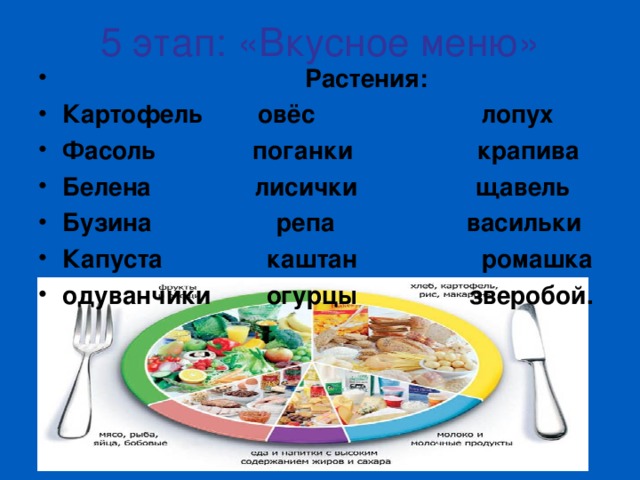 5 этап: «Вкусное меню»  Растения: Картофель овёс лопух Фасоль поганки крапива Белена лисички щавель Бузина репа васильки Капуста каштан ромашка одуванчики огурцы зверобой. 