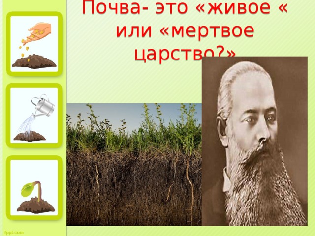 Почва- это «живое « или «мертвое царство?»