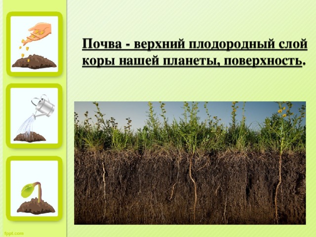 Почва - верхний плодородный слой коры нашей планеты, поверхность .