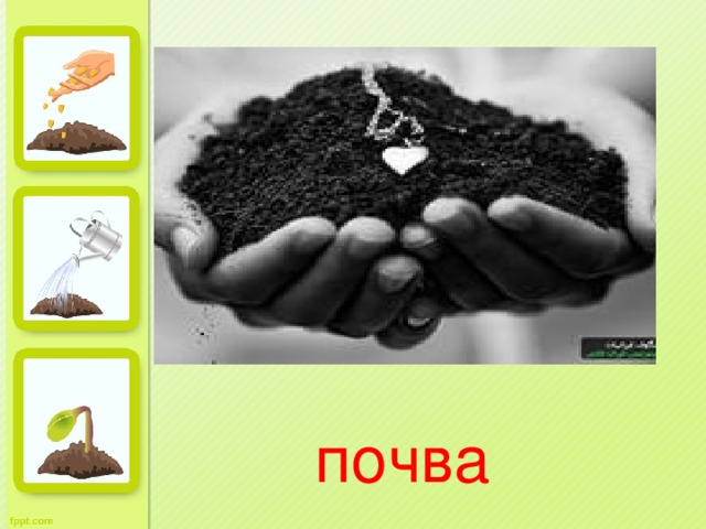 почва