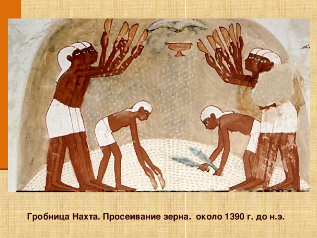 Щелкните по изображению, для того что бы вернуться по гиперссылке к основному слайду. Гробница Нахта. Просеивание зерна. около 1390 г. до н.э.  