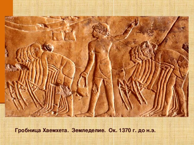 Щелкните по изображению, для того что бы вернуться по гиперссылке к основному слайду. Гробница Хаемхета. Земледелие. Ок. 1370 г. до н.э.  