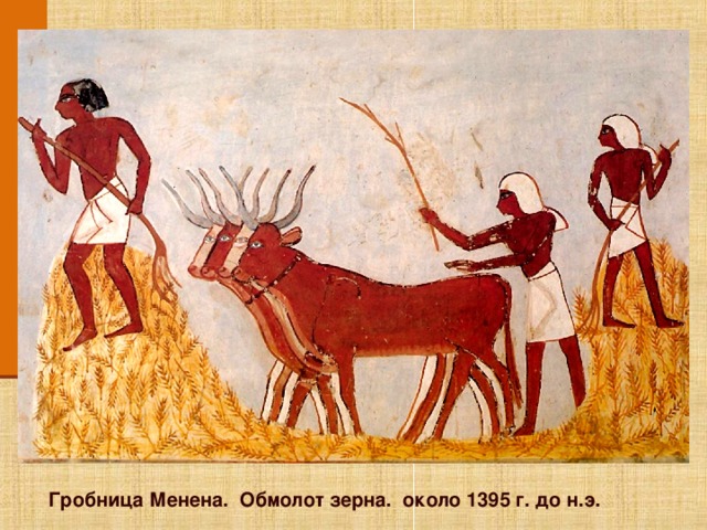 Щелкните по изображению, для того что бы вернуться по гиперссылке к основному слайду. Гробница Менена. Обмолот зерна. около 1395 г. до н.э.  