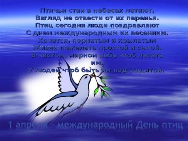 Птичьи стаи в небесах летают,  Взгляд не отвести от их паренья.  Птиц сегодня люди поздравляют  С днем международным их весенним.  Хочется, пернатым и крылатым  Жизни пожелать простой и сытой.  В чистом, мирном небе чтоб летать им.  У людей чтоб быть им под защитой.   