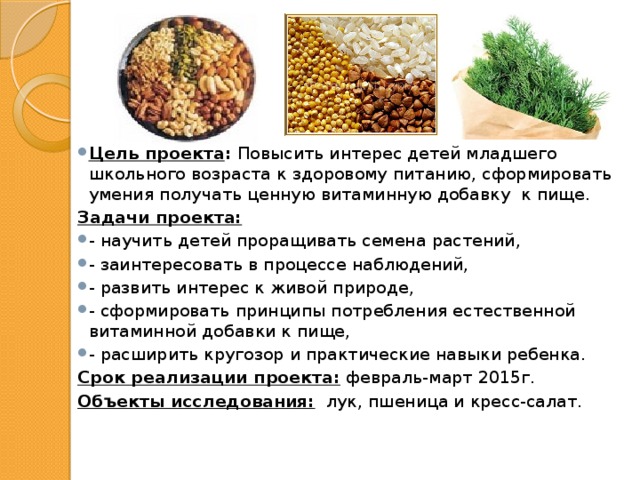 Цель проекта : Повысить интерес детей младшего школьного возраста к здоровому питанию, сформировать умения получать ценную витаминную добавку к пище. Задачи проекта: - научить детей проращивать семена растений, - заинтересовать в процессе наблюдений, - развить интерес к живой природе, - сформировать принципы потребления естественной витаминной добавки к пище, - расширить кругозор и практические навыки ребенка. Срок реализации проекта: февраль-март 2015г. Объекты исследования: лук, пшеница и кресс-салат. 
